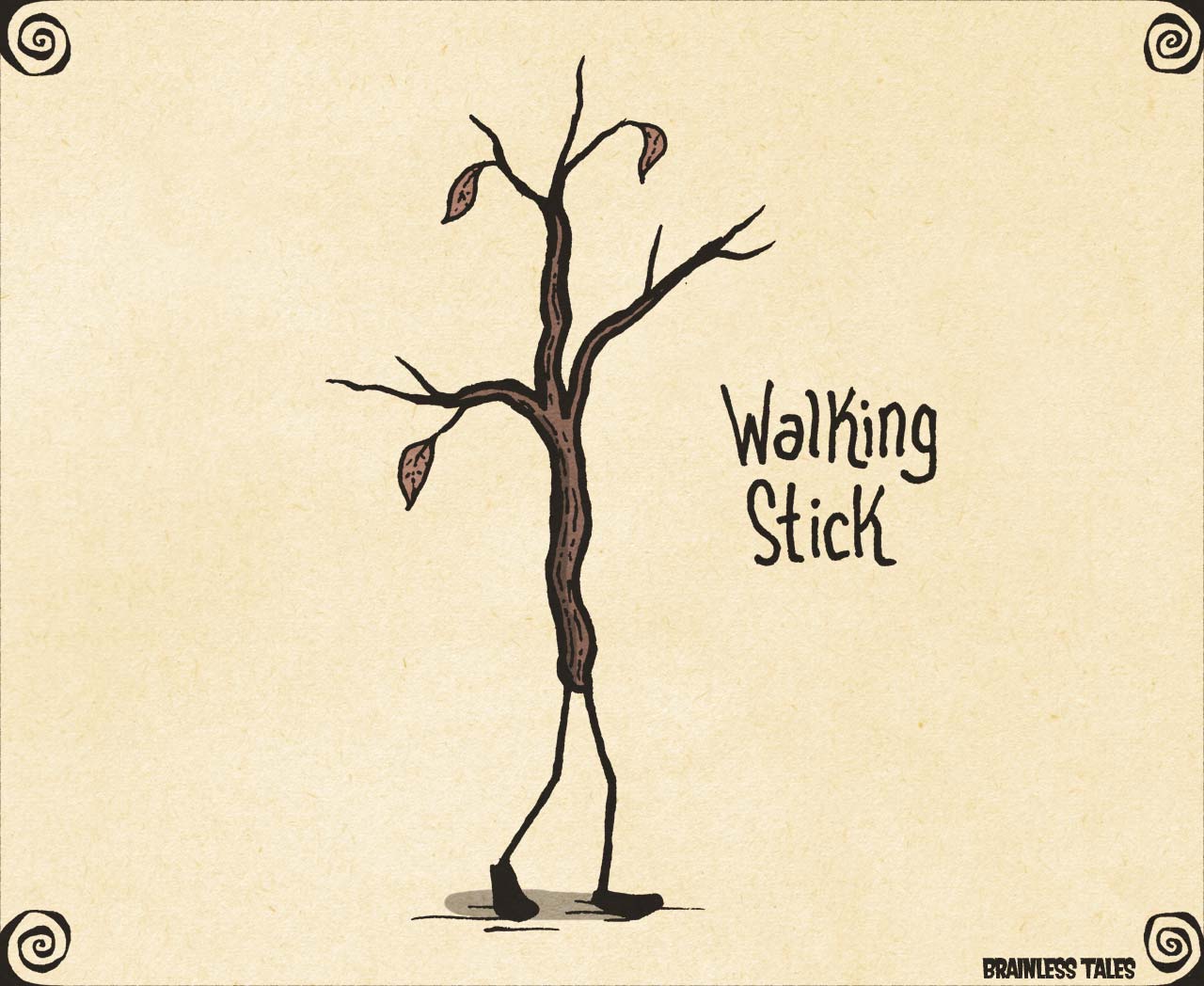 Walking Stick